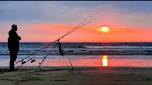 Why The Angling Hub Is a Trusted Name for Sea Anglers 