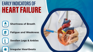 Coronary Angiogram in Chennai