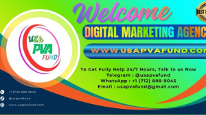 Top 5.5 Sites to Buy Old Gmail Accounts In (PVA & Aged) | bulk 