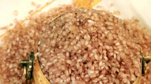 From Kerala Fields to Indian Kitchens: How Palakkadan Matta Rice Is Grown and Processed