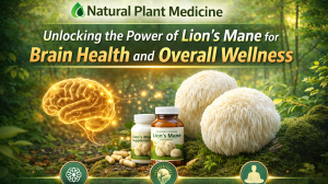 Natural Plant Medicine: Unlocking the Power of Lion’s Mane for Brain Health and Overall Wellness