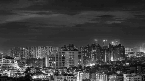 Central Park Flower Valley Emerges -