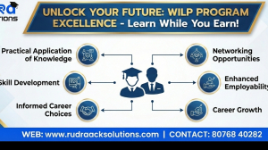 Why Has the Work Integrated Learning Programme Become Essential in a Rapidly Changing Employment Lan