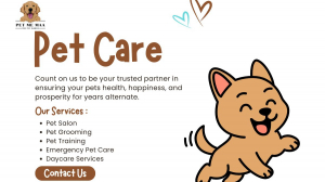 Top Pet Boarding Near Me for Dogs: Pet Me Maa