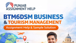 BTM6DSM Business & Tourism Management Assignment Help AU | Expert Help