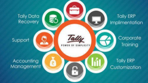 Tally Software Service In Chennai – Complete Accounting & GST Support for Businesses