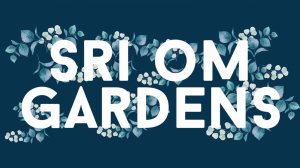 Budget Function Hall at Sri Om Gardens