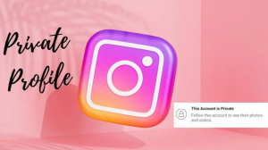 Learning Instagram Innovative Strategies for Expanded Reach