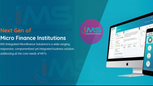 Cloud-Based Microfinance Software for Efficient Lending Operations 