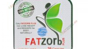 Authentic Fatzorb Pills – Delivered Free in UAE