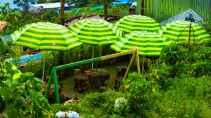 Mountain Valley View Rooms Kodaikanal: Wake Up to Breathtaking Hill Views and Pure Calm