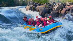 Best Resort in Dandeli 2026 - Dandeli Jungle Inn