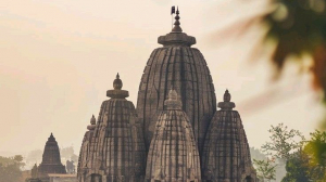 Hidden Gems of South India Tour vs Private Safari Holidays: Which Offers More Diverse Experiences?