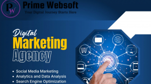 Landing Page Designing in Delhi