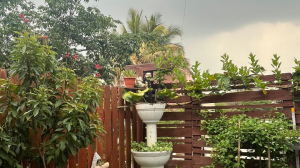 Holistic Therapy in JP Nagar, Bangalore | Nervous System Regulation Therapy at Home Cafe