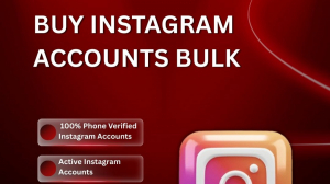 High Quality Instagram Accounts Bulk Orders Made Simple