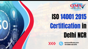 ISO 14001:2015 Certification in Delhi NCR