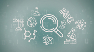 Tesamorelin vs. Sermorelin: Distinct Pathways in Peptide Research