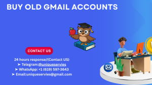 5.Best Sites To Buy Old Gmail Accounts in Bulk (PVA &amp)