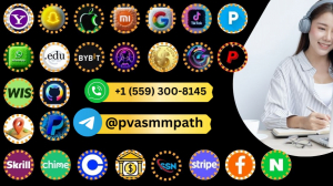 Buy Trusted Place to Buy Verified Stripe Accounts for E-commerce Success