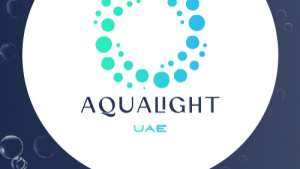 Elevate Your Space with Professional Water Feature Design