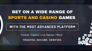 AllPanelexch App Download – What You Should Know Before Installing