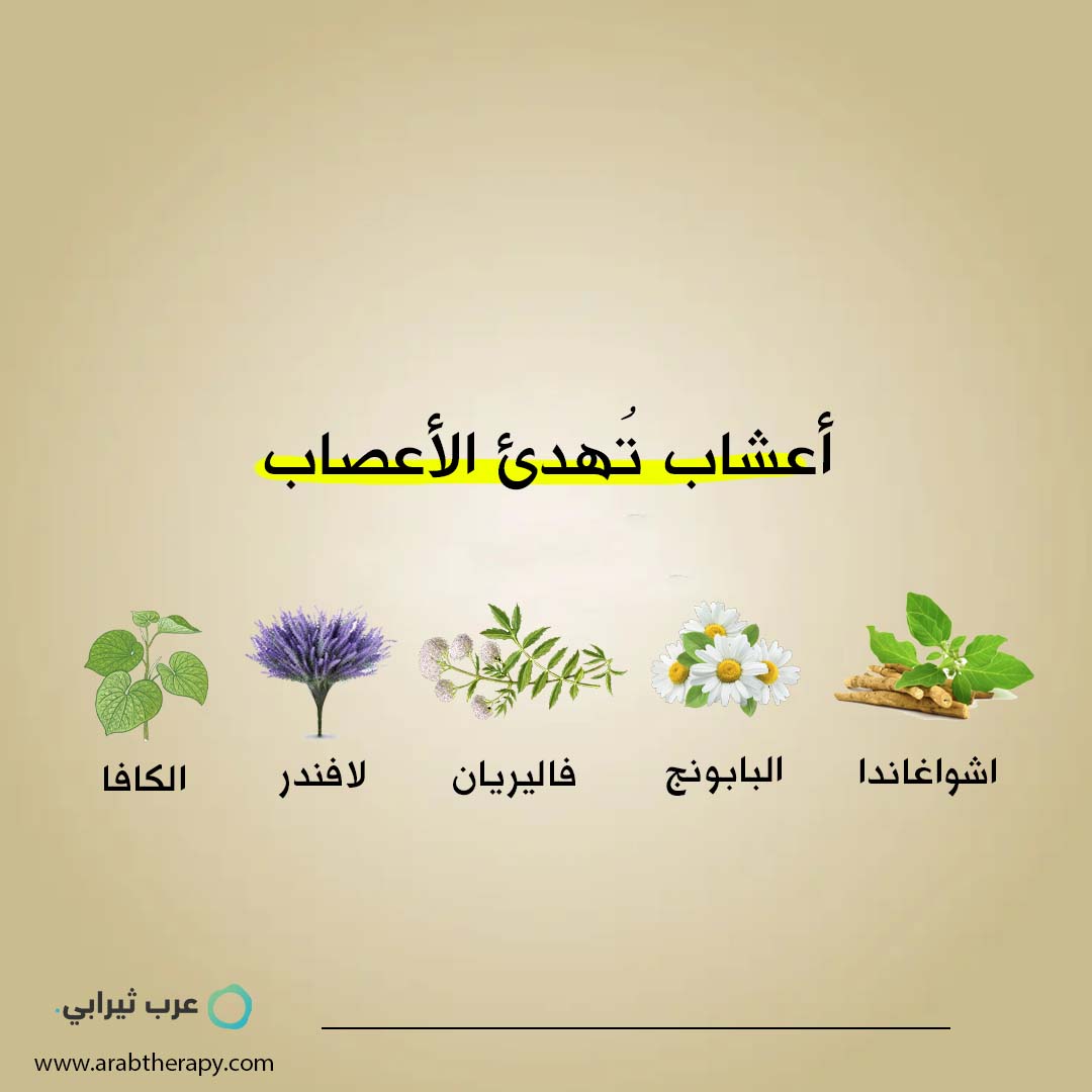 حبوب قومود