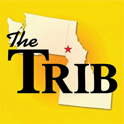 Lewiston Tribune logo