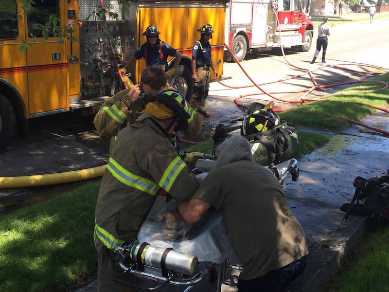 Dog dies in Idaho Falls house fire - East Idaho News