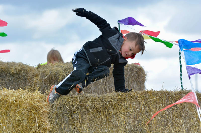 heart-and-sole-of-rigby-2