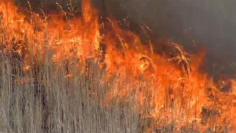 grassfire trophy club