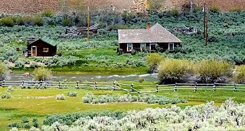 Lorrie Lees Tyler. Taken May 28th. By Copper Basin