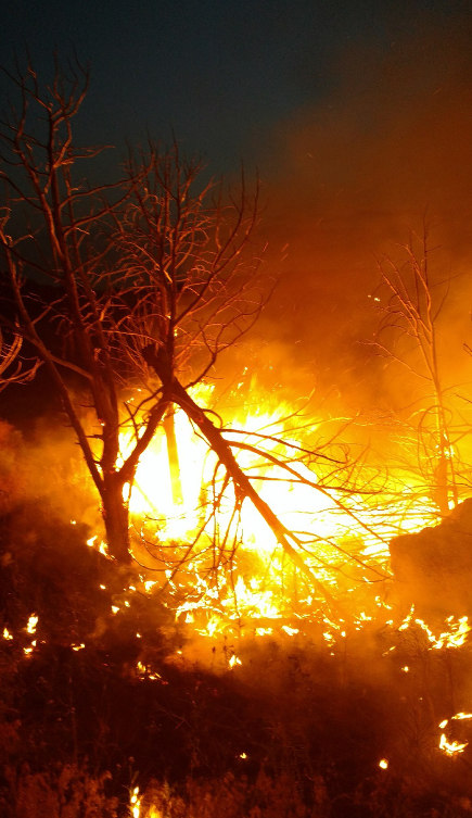 Fire in Ammon foothills contained at 22 acres - East Idaho News