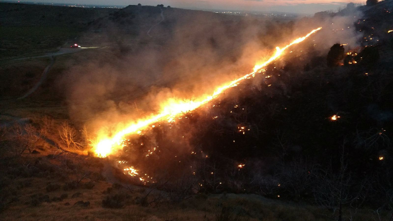 Fire in Ammon foothills contained at 22 acres - East Idaho News