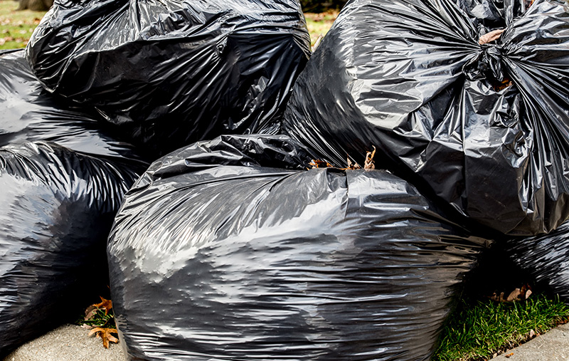 AdobeStock 909890381