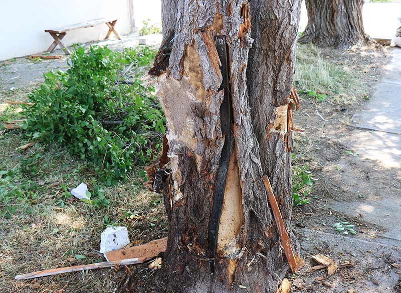 idaho falls crash 7 19 2017 oil filter tree