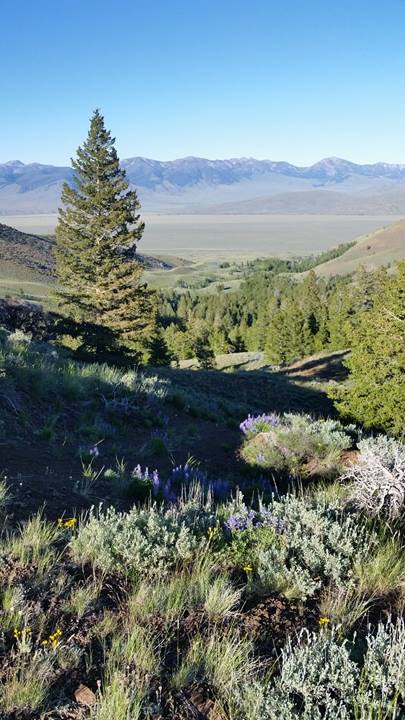 Brenda Lopez.Above Carlson lake Double Springs area Custer county. June 22 2017