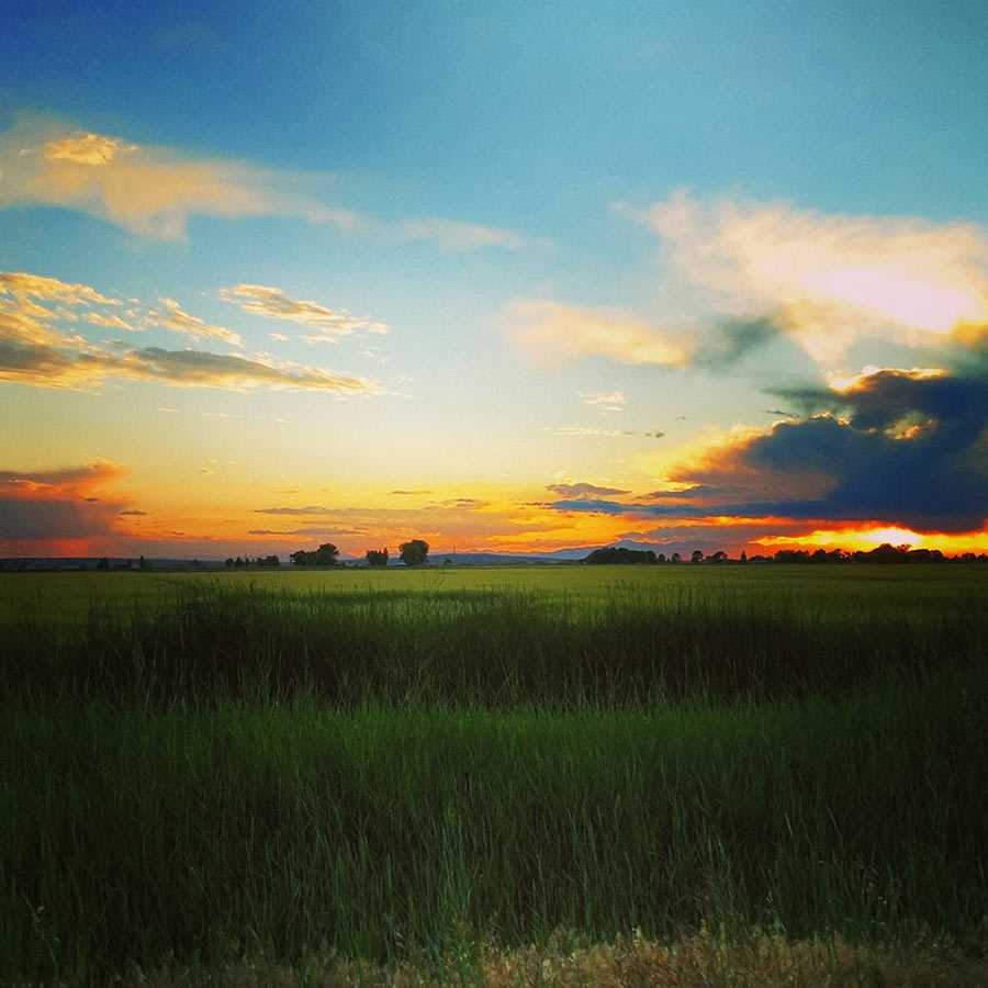 Spencer Shipton. headed north towards Menan. June 29 2017