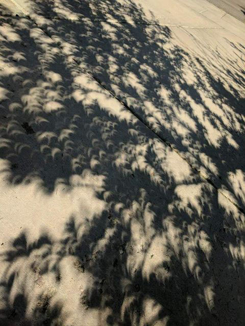 Benjamin Kindle during