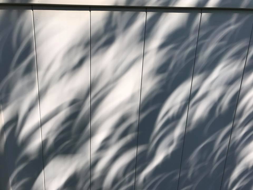 Michael Blosch shadows during