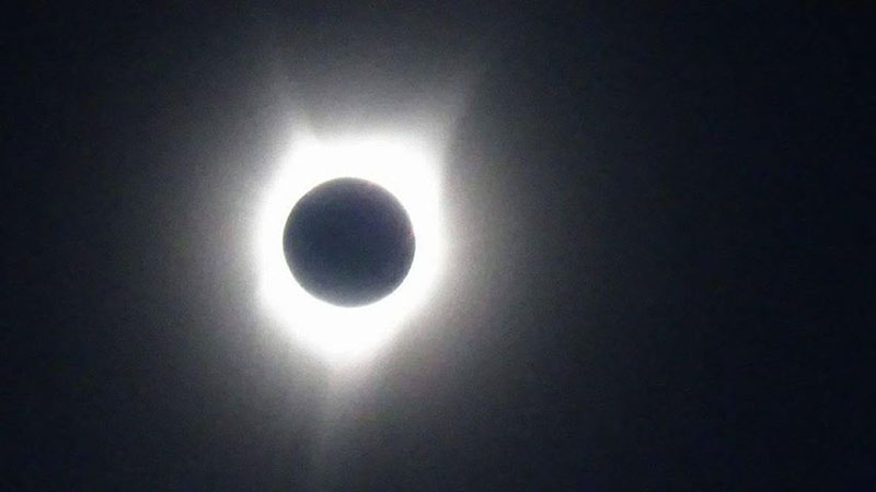 Traci Brown Sizemore 3