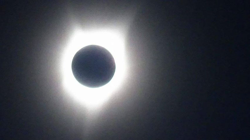 Traci Brown Sizemore 5