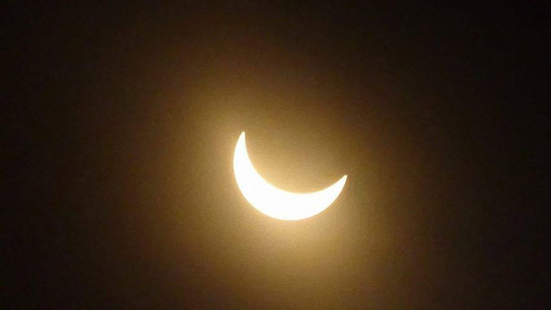 Traci Brown Sizemore 9