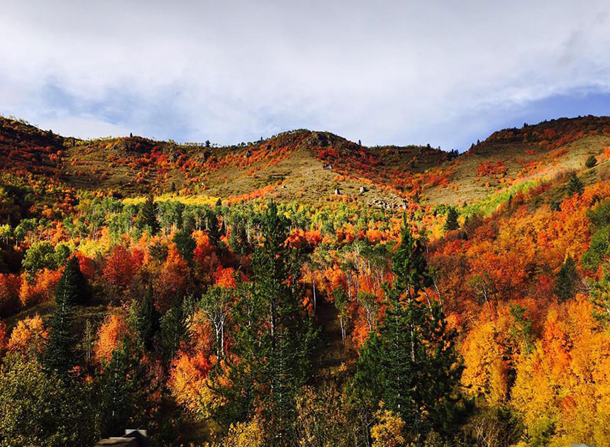 DPValerie West Morris October 1 2017 palisades