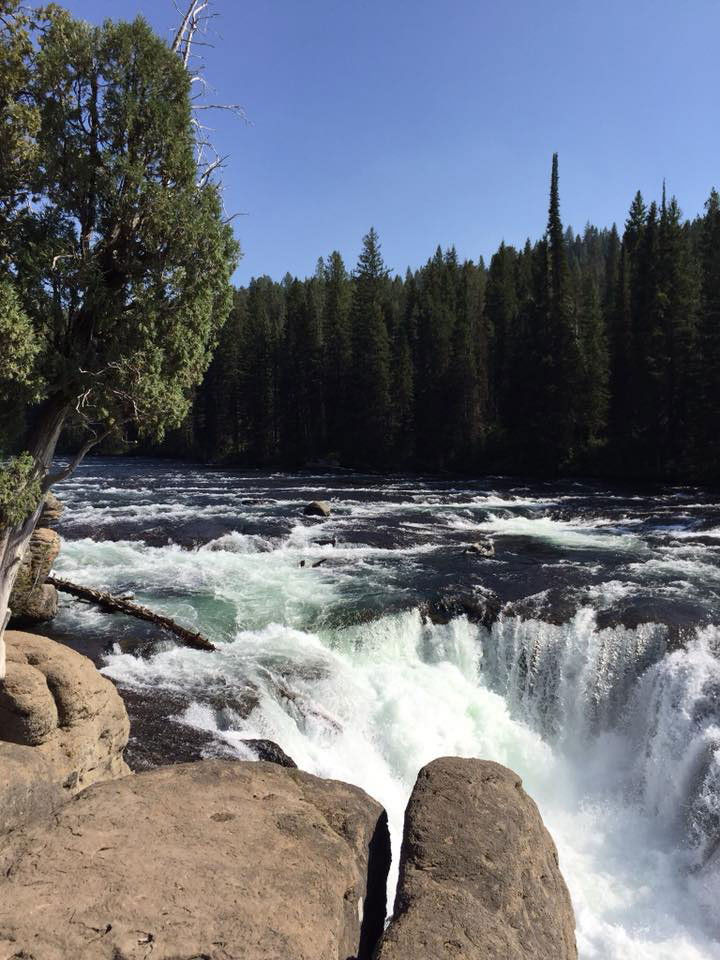 DPStephanie Westover Sheep Falls Ashton Idaho Sept 2017