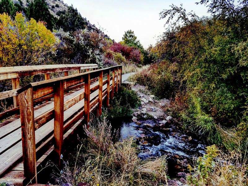 DPAshley Guardipee. Cherry Springs October 5 2017