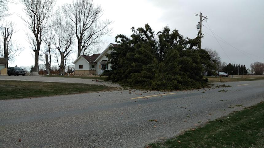 30074299 10211626626567385 1663904758 o