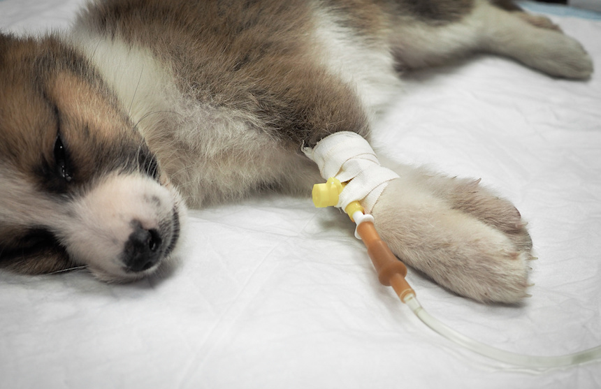 AdobeStock 164423957