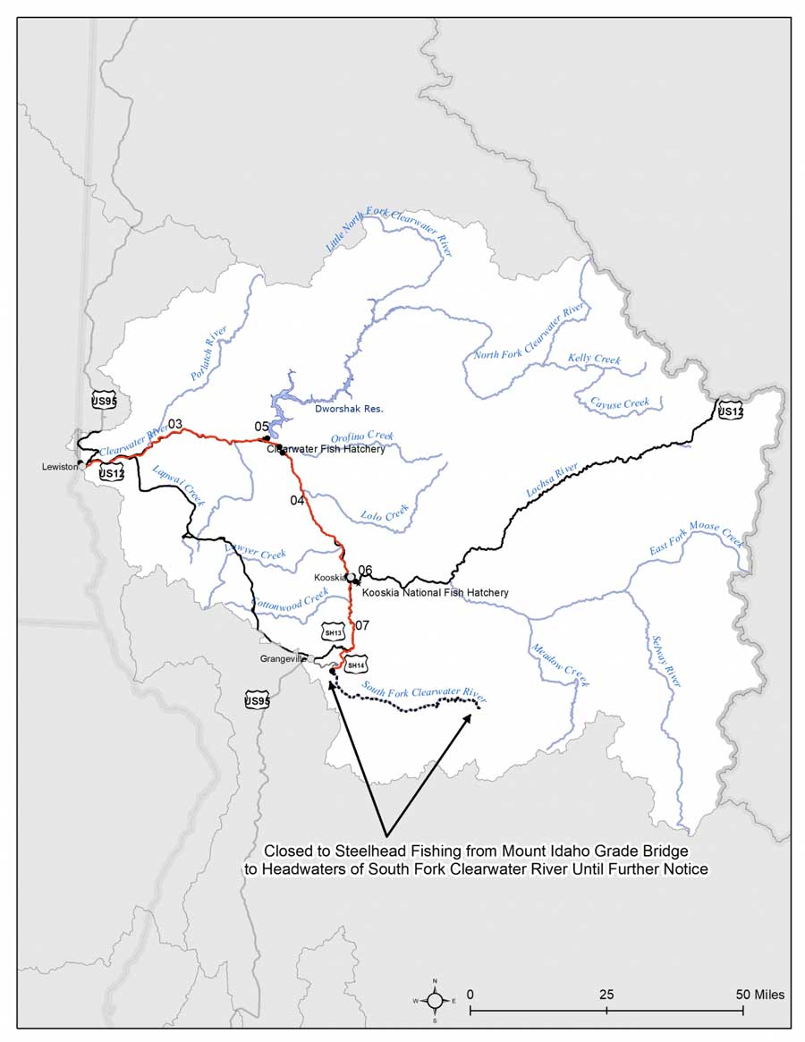 steelhead clearwater closure