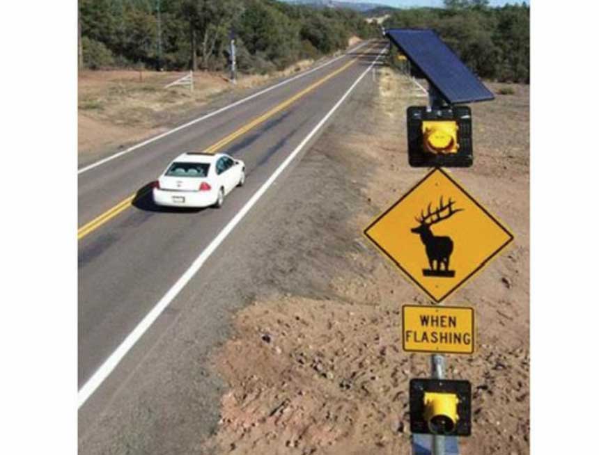 wildlife detection signage